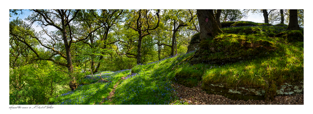 images from wales - Ian Nicholson Photography - Builth Wells